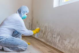 Best Forensic Mold Investigation  in Robins, IA