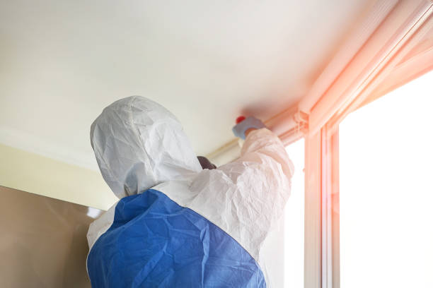 Best Mold Odor Removal Services  in Robins, IA