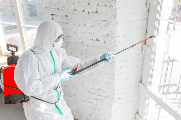 Best Mold Remediation for Vacation Homes  in Robins, IA